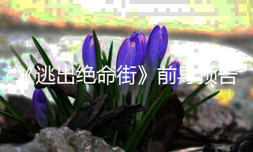 前安妮命街麦·海雷主逃告 导预克格出绝演瑟薇
